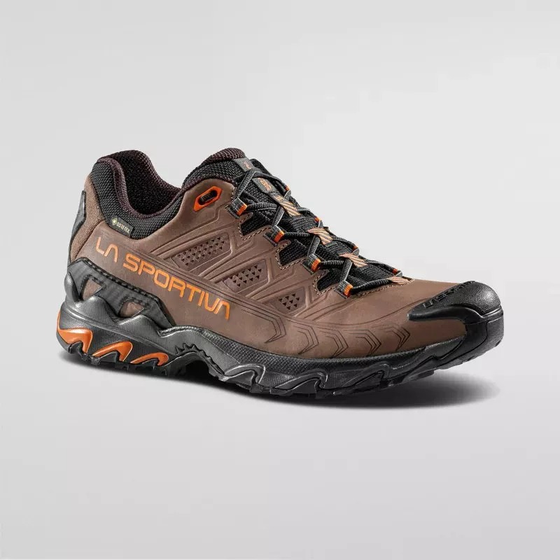 Ultra Raptor II Leather GTX